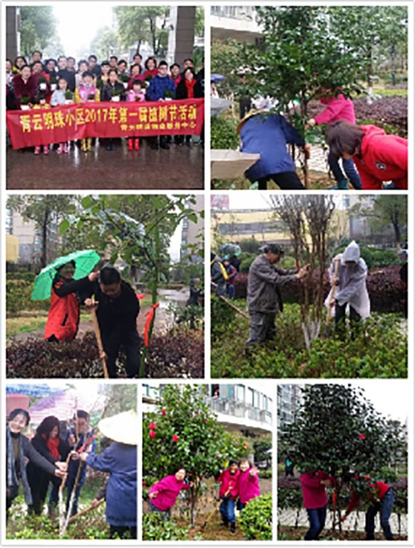 播一片綠林，種一份愛心